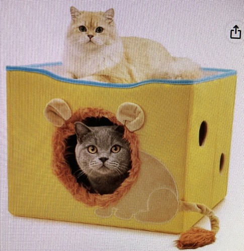 Cat hideaway with peekaboo - cat,
