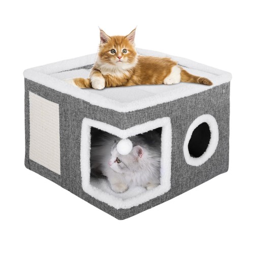 Large grey cat - grey, cave